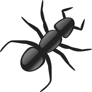 ant PNG-19343